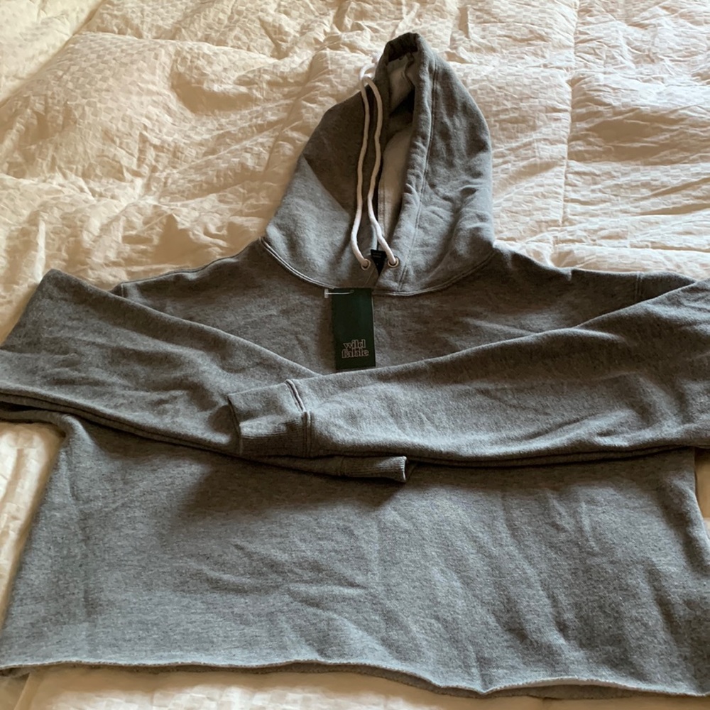 NWT wild table size small crop hoodie, color, gray warm, very cute!
